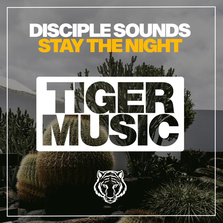 Disciple Sounds's avatar image