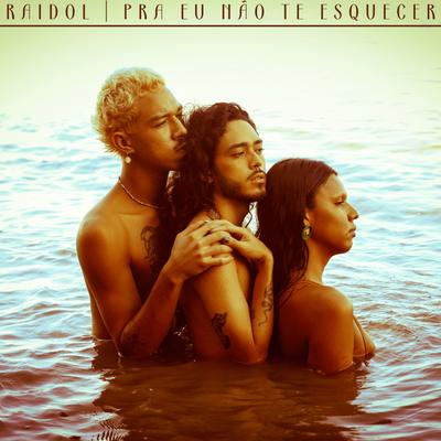 Pra Eu Não Te Esquecer By Raidol's cover