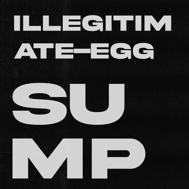 Illegitimate-Egg's avatar image