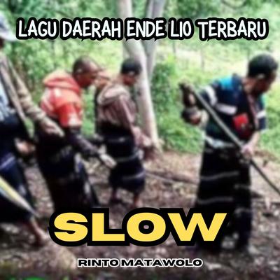Lagu ENDE LIO SLOW's cover