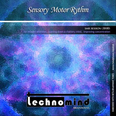 SMR Session By Technomind's cover