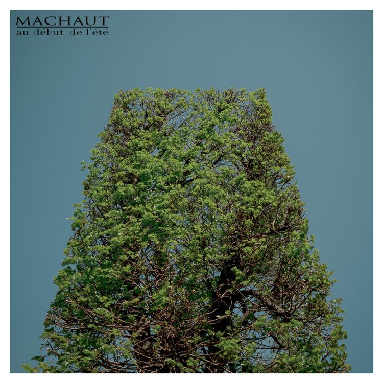 Machaut's avatar image