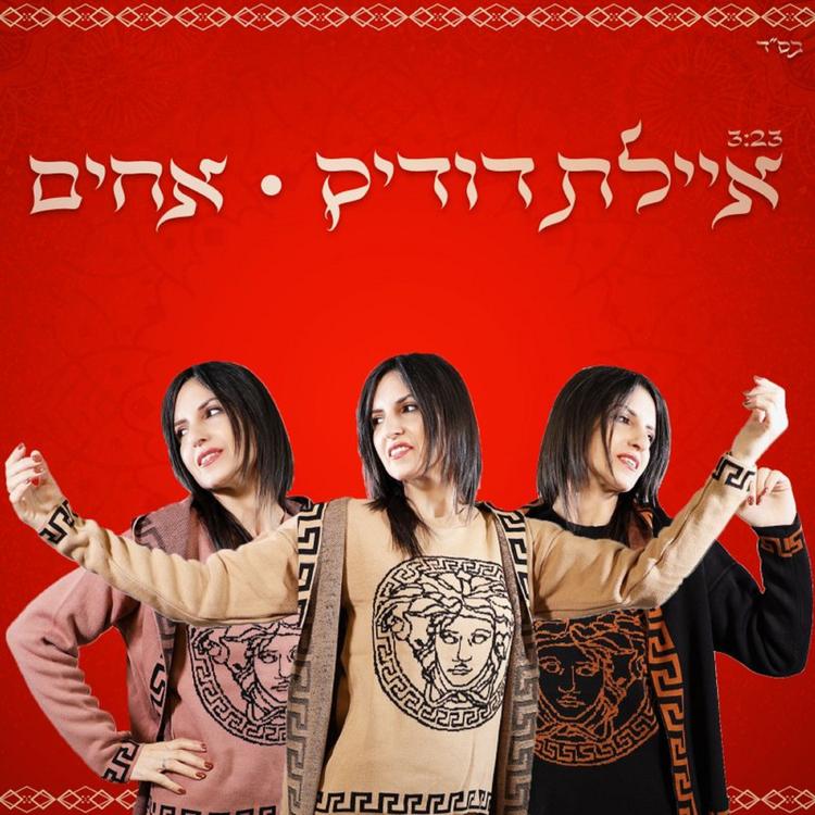 איילת דודיק's avatar image