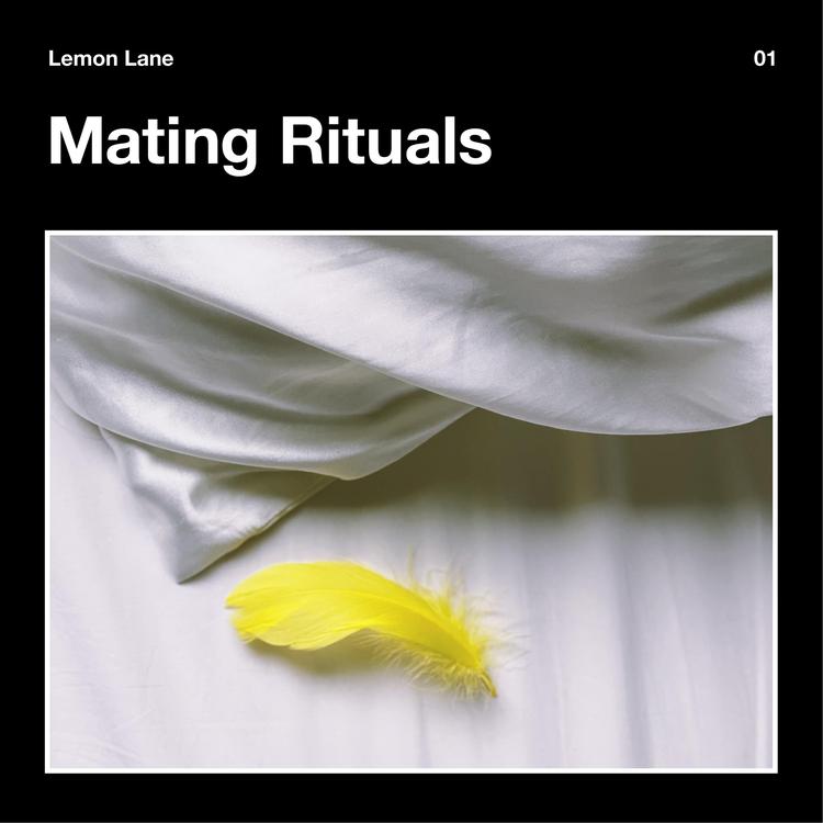 Lemon Lane's avatar image