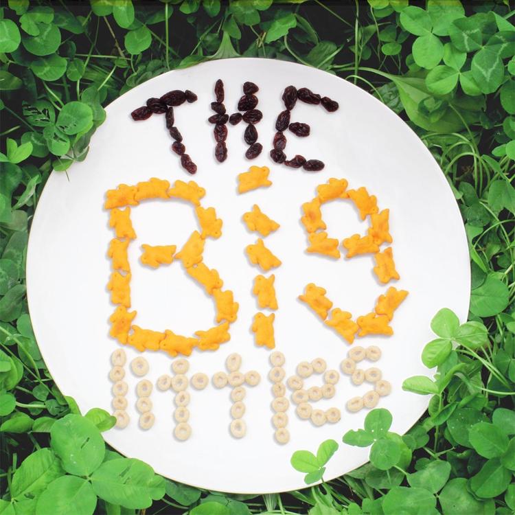 The Big Littles's avatar image