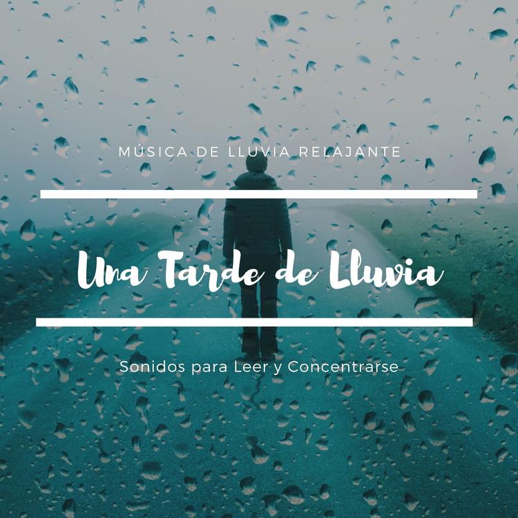 Sonidos De Lluvia y Viento's avatar image