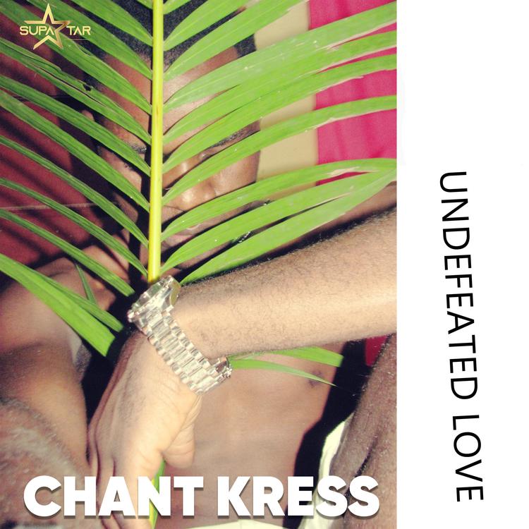 Chant Kress's avatar image