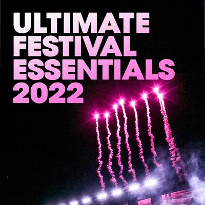 Ultimate Festival Essentials 2022's cover