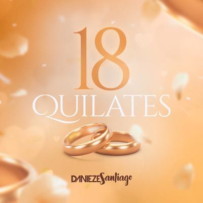 18 Quilates By Danieze Santiago's cover