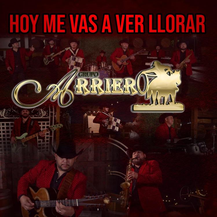 Grupo Arriero's avatar image