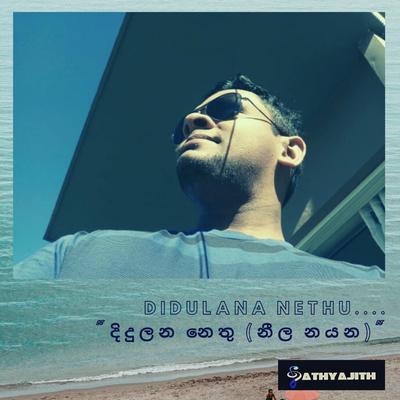 Didulana Nethu (Neela Nayana) [Official]'s cover