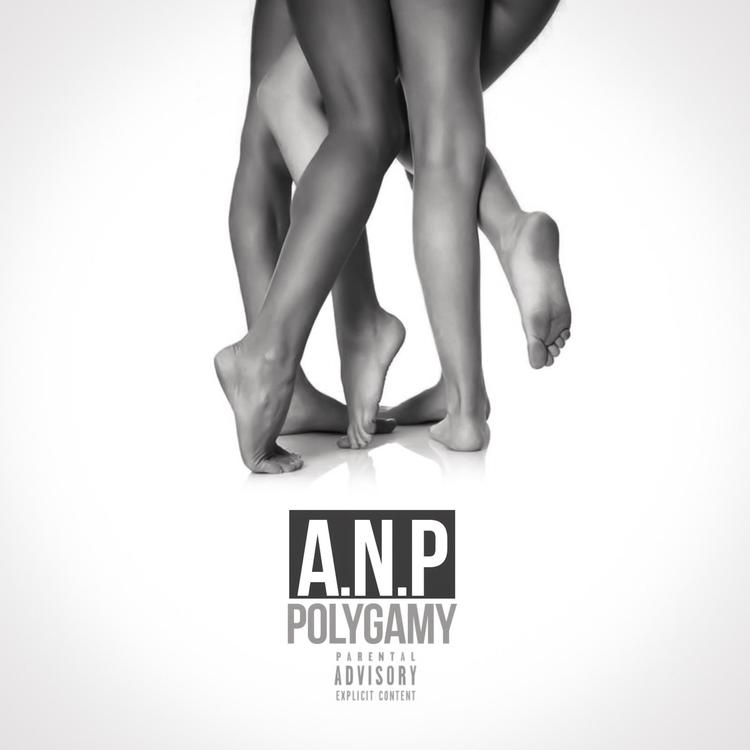 ANP's avatar image