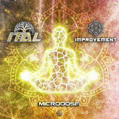 Microdose By Ital, Improvement's cover