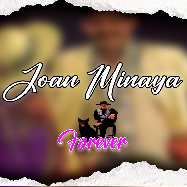 Joan Minaya's avatar image