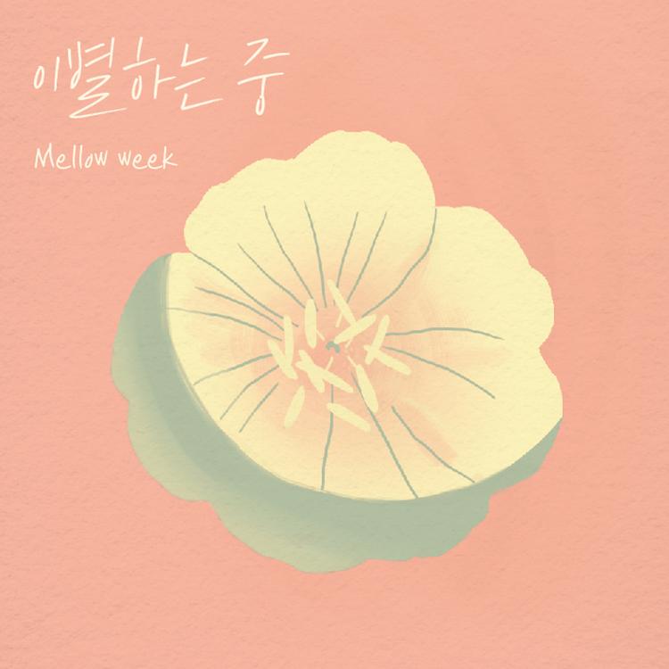 Mellow Week's avatar image