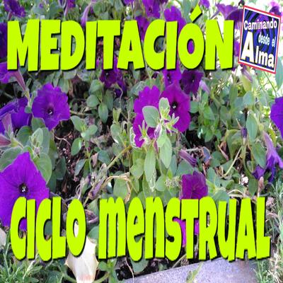 Meditación. Ciclo Menstrual.'s cover