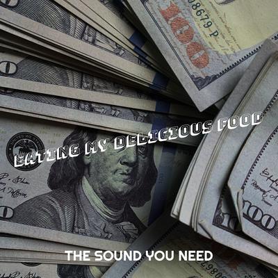 the sound you need's cover