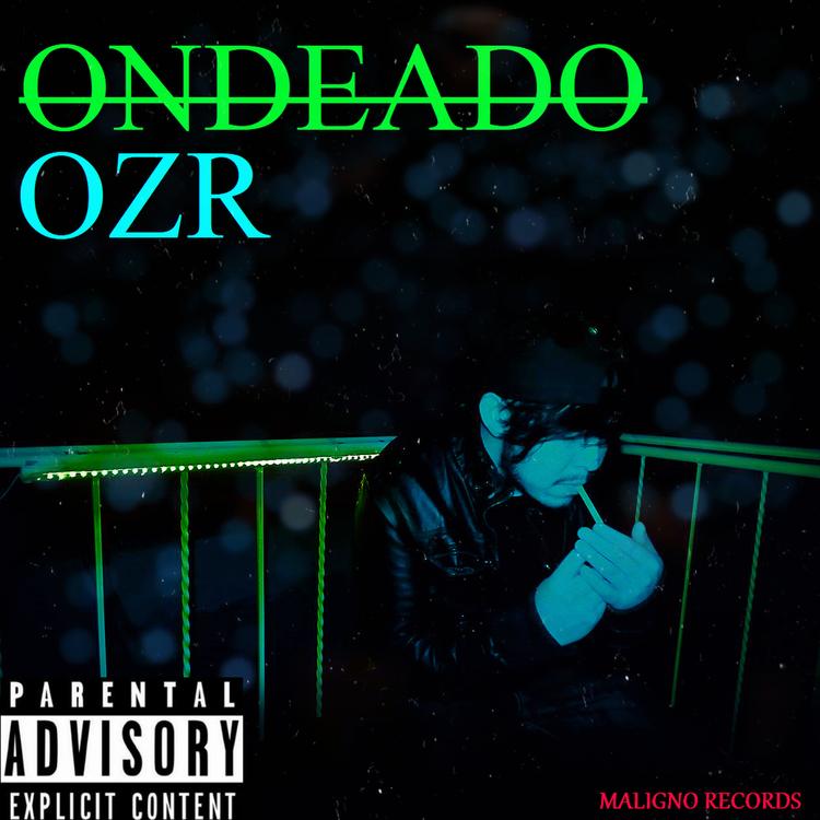 OZR's avatar image