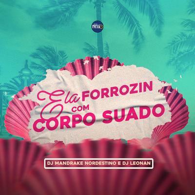 Forrozin Ela Com Corpo Suado By Dj Mandrake Nordestino's cover