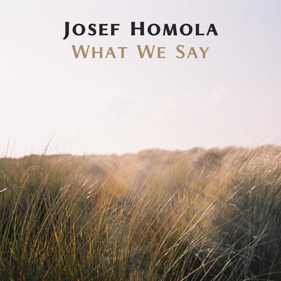 What We Say By Josef Homola's cover