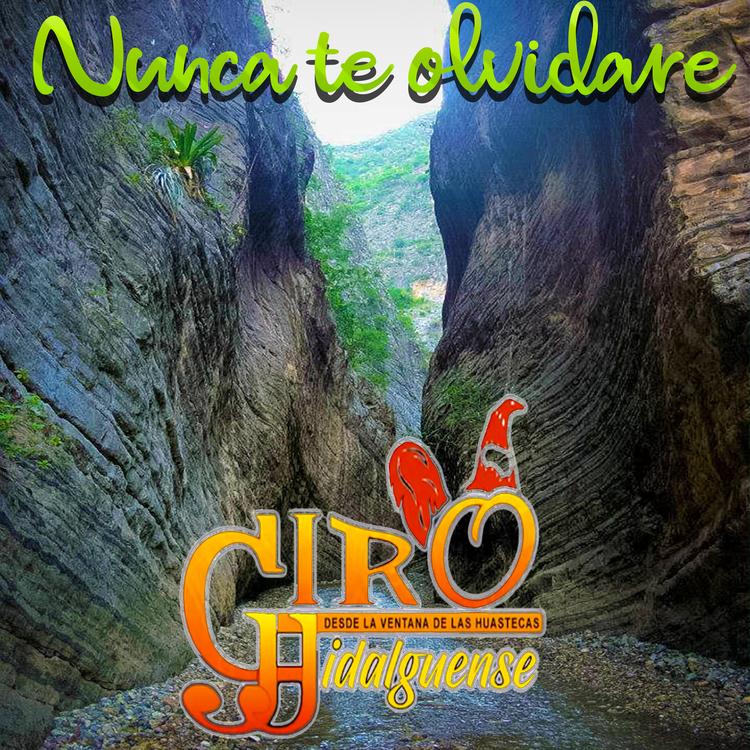 trio giro hidalguense's avatar image