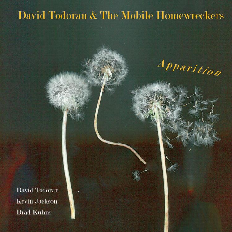 David Todoran & the Mobile Homewreckers's avatar image