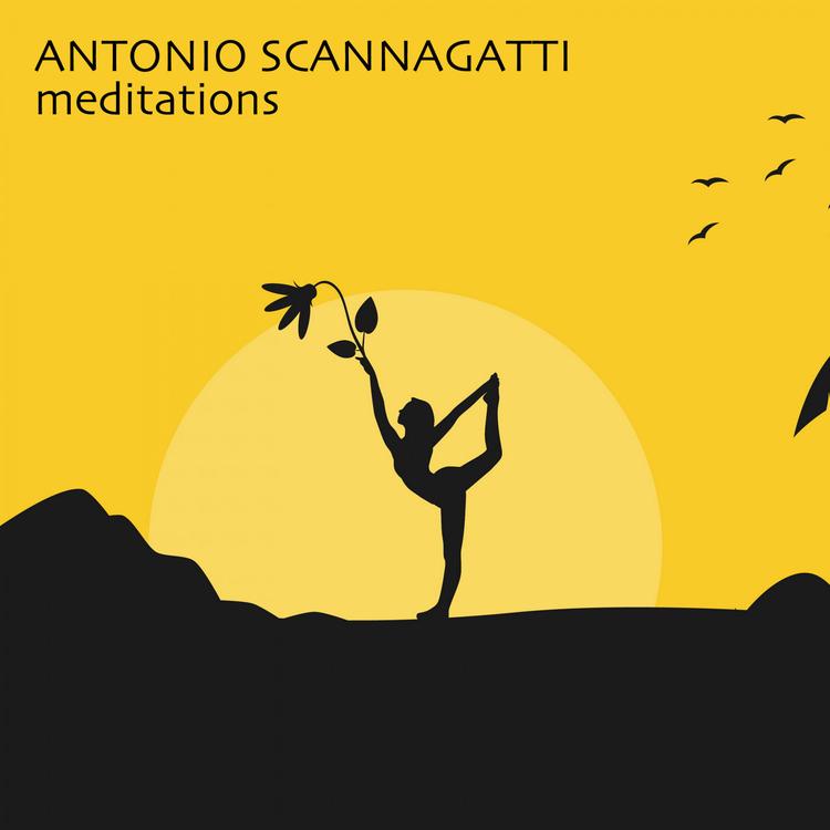 Antonio Scannagatti's avatar image