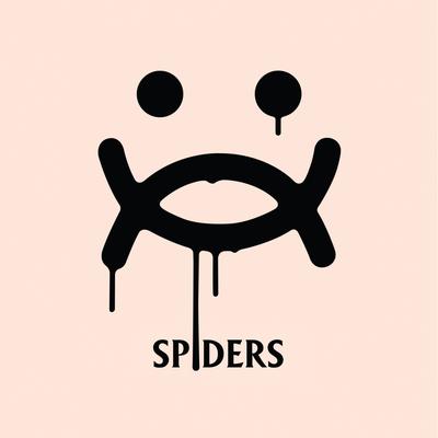 Spiders By Gundelach's cover