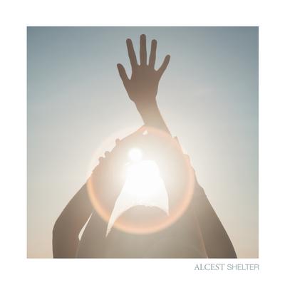 Shelter (Deluxe Edition)'s cover