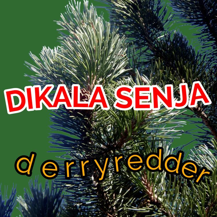 Derryredder's avatar image