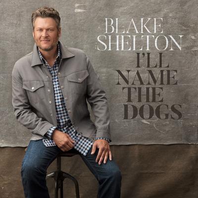 I'll Name the Dogs By Blake Shelton's cover