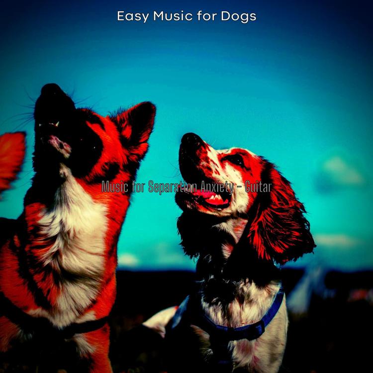 Easy Music for Dogs's avatar image