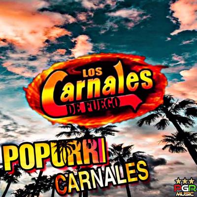 Los Carnales De Fuego's cover