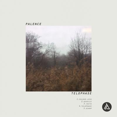 Iacta By palence's cover