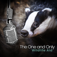 Wildlife Aid's avatar cover