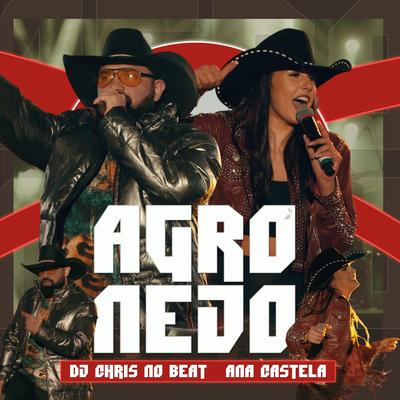 Agronejo (Sped up Version) By Ana Castela, Dj Chris No Beat's cover