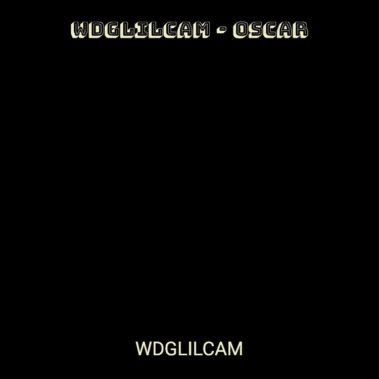 WDGLILCAM's avatar image