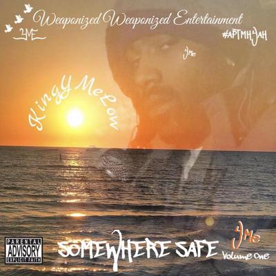 Somewhere Safe, Vol. 1's cover