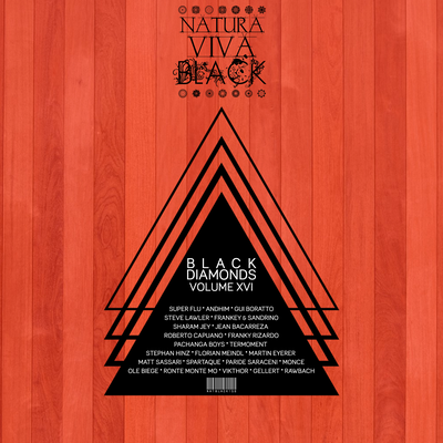 Black Diamonds, Vol. 16's cover