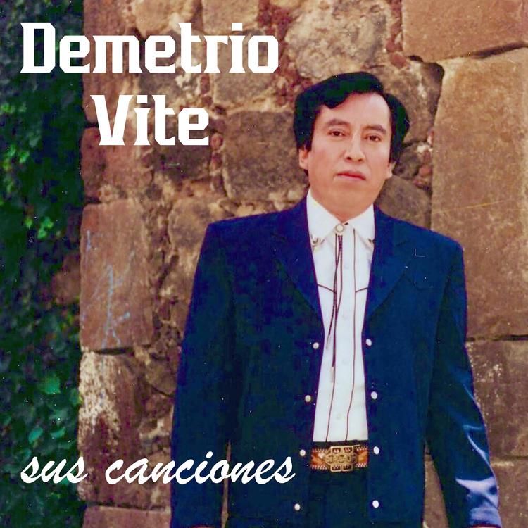 Demetrio Vite's avatar image