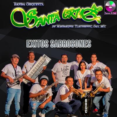 Éxitos Sabrosones's cover