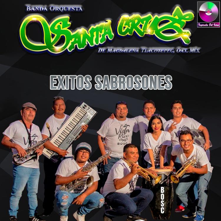Banda Orquesta Santa Cruz's avatar image