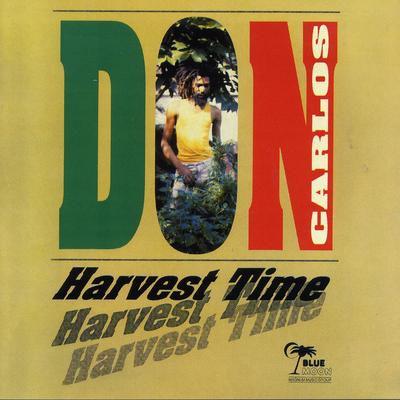 I Love Jah By Don Carlos's cover