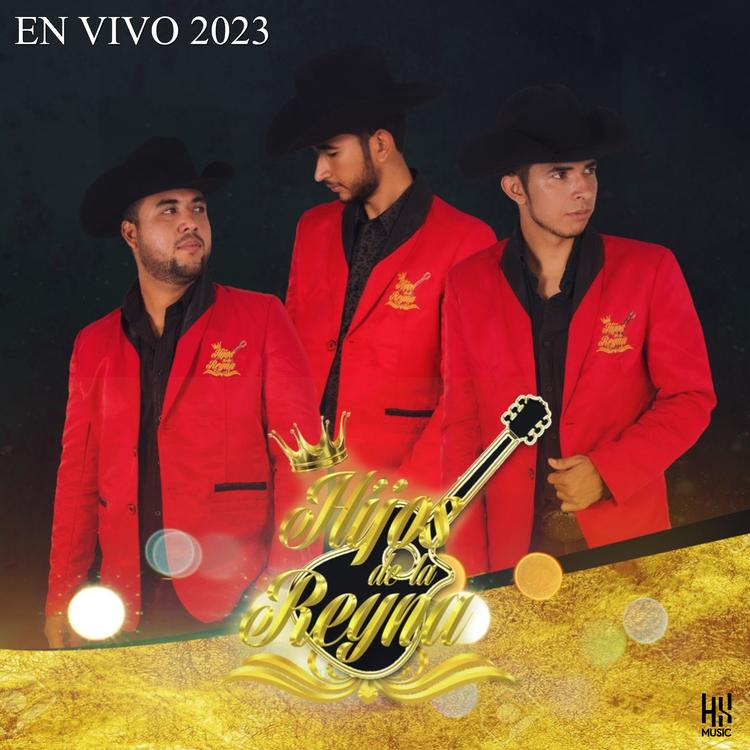 Los Hijos de la Reyna's avatar image