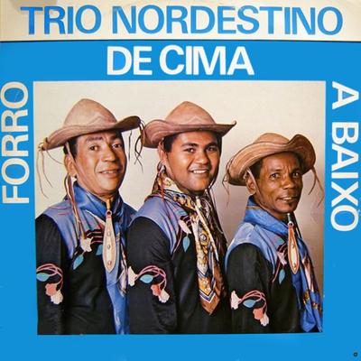 Coisas da Bahia By Trio Nordestino's cover