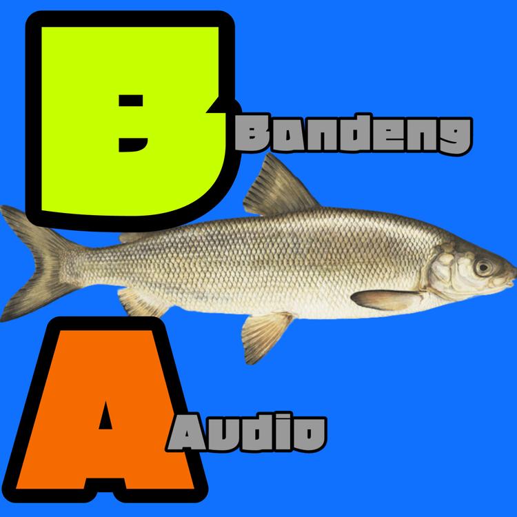 Bandeng Audio's avatar image