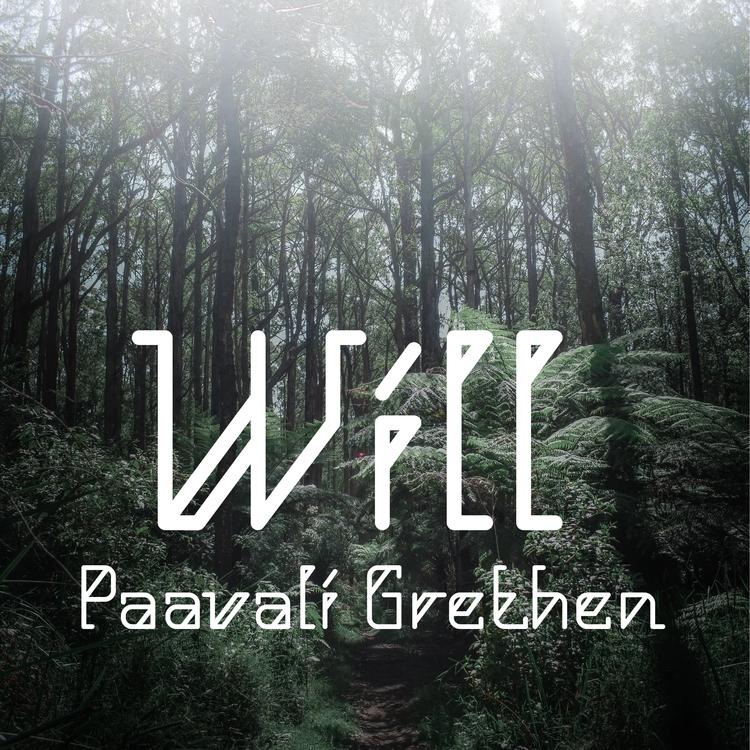 Paavali Grethen's avatar image