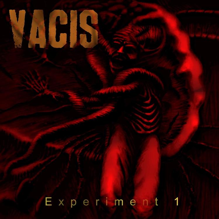 Vacis's avatar image