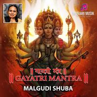 Malgudi Shuba's avatar cover