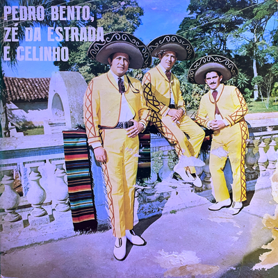 Conselho Amigo By Pedro Bento & Zé Da Estrada, Celinho's cover